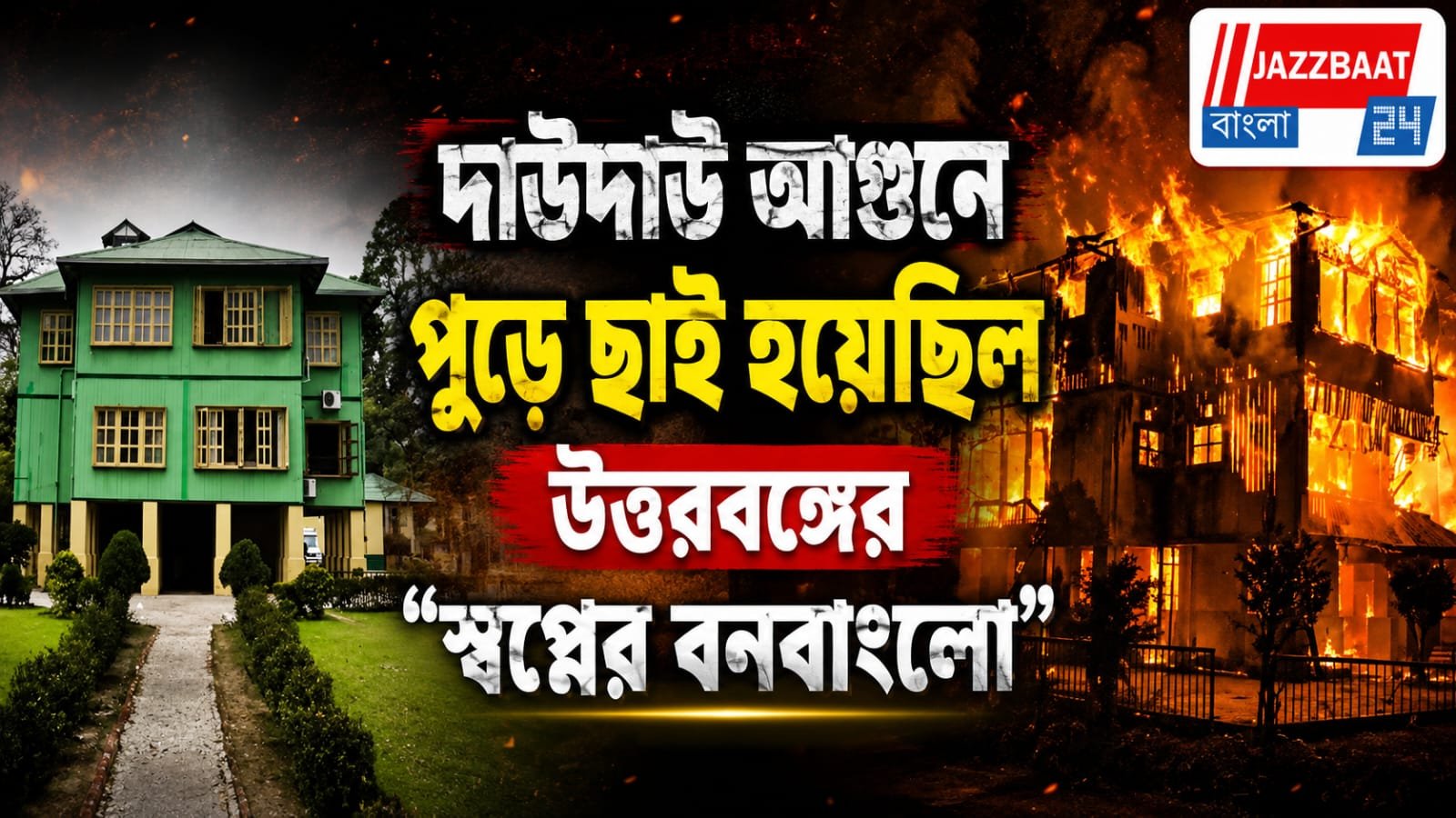 আড়াই বছর পর ফিরছে হলং, জঙ্গলের বুকেই ফের জ্বলবে আলো