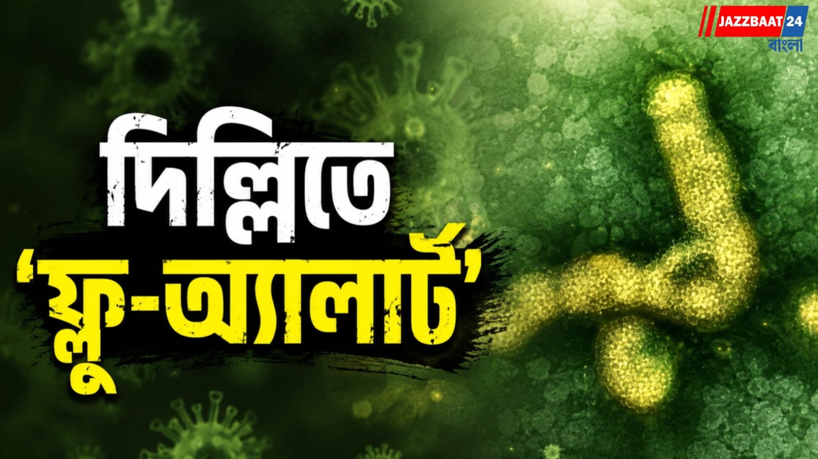 দিল্লিতে ৩ হাজার ছুঁইছুঁই সোয়াইন ফ্লু ! জরুরি বৈঠক ডাকলেন মুখ্যমন্ত্রী