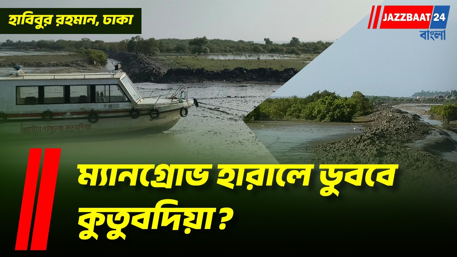 বাংলাদেশে কুতুবদিয়া দ্বীপের ম্যানগ্রোভ বন অস্তিত্বের সংকটে