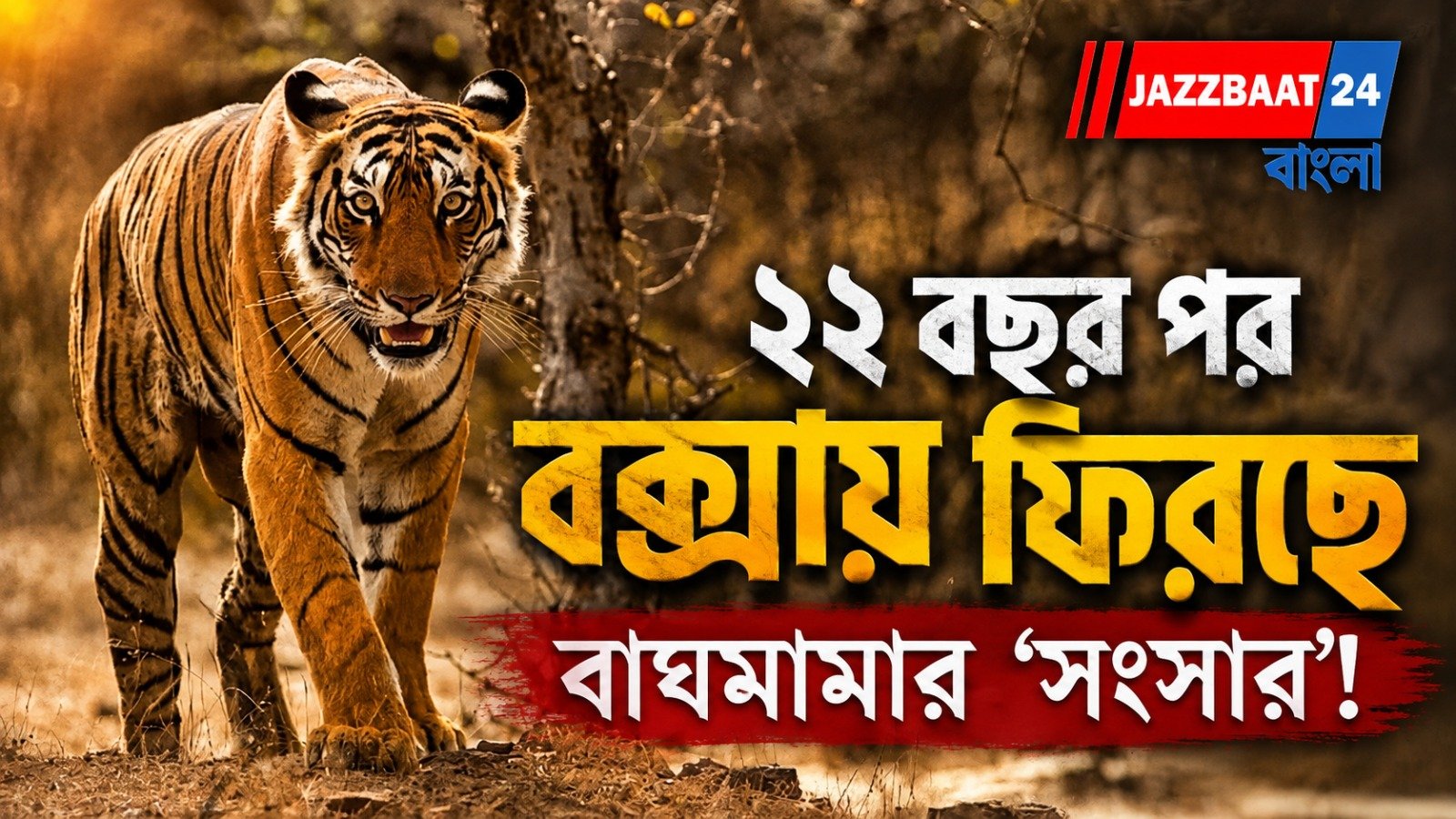 ২২ বছর পর বক্সায় বাঘের ‘ঘর’ প্রস্তুত! ২ অক্টোবর কী ঘটতে চলেছে জঙ্গলে?