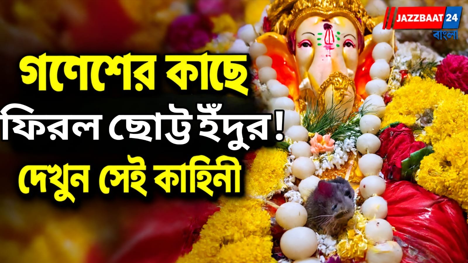 উৎসবের কোলাহলের মাঝেই গণেশের কাছে ইঁদুর, ভাইরাল ভিডিয়ো!