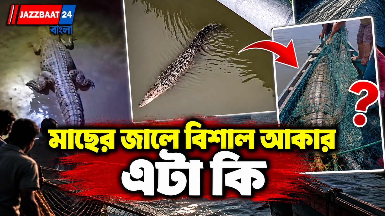 মাছ ধরতে ফেলা হয়েছিল জাল, তাতে চক্ষু চড়কগাছ, সুন্দরবনের নদীপথে বাড়ছে আতঙ্ক!