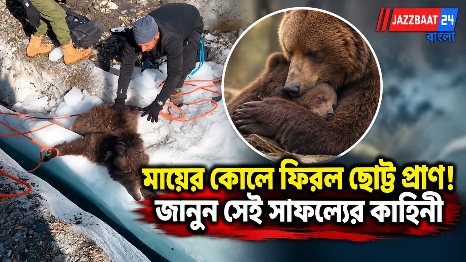 ১৬,৫০০ ফুট উচ্চতায় হিমালয়ের গভীর ফাটলে আটকে ভালুকছানা, প্রাণের ঝুঁকি নিয়ে দড়ি বেয়ে নেমে সফল উদ্ধার!