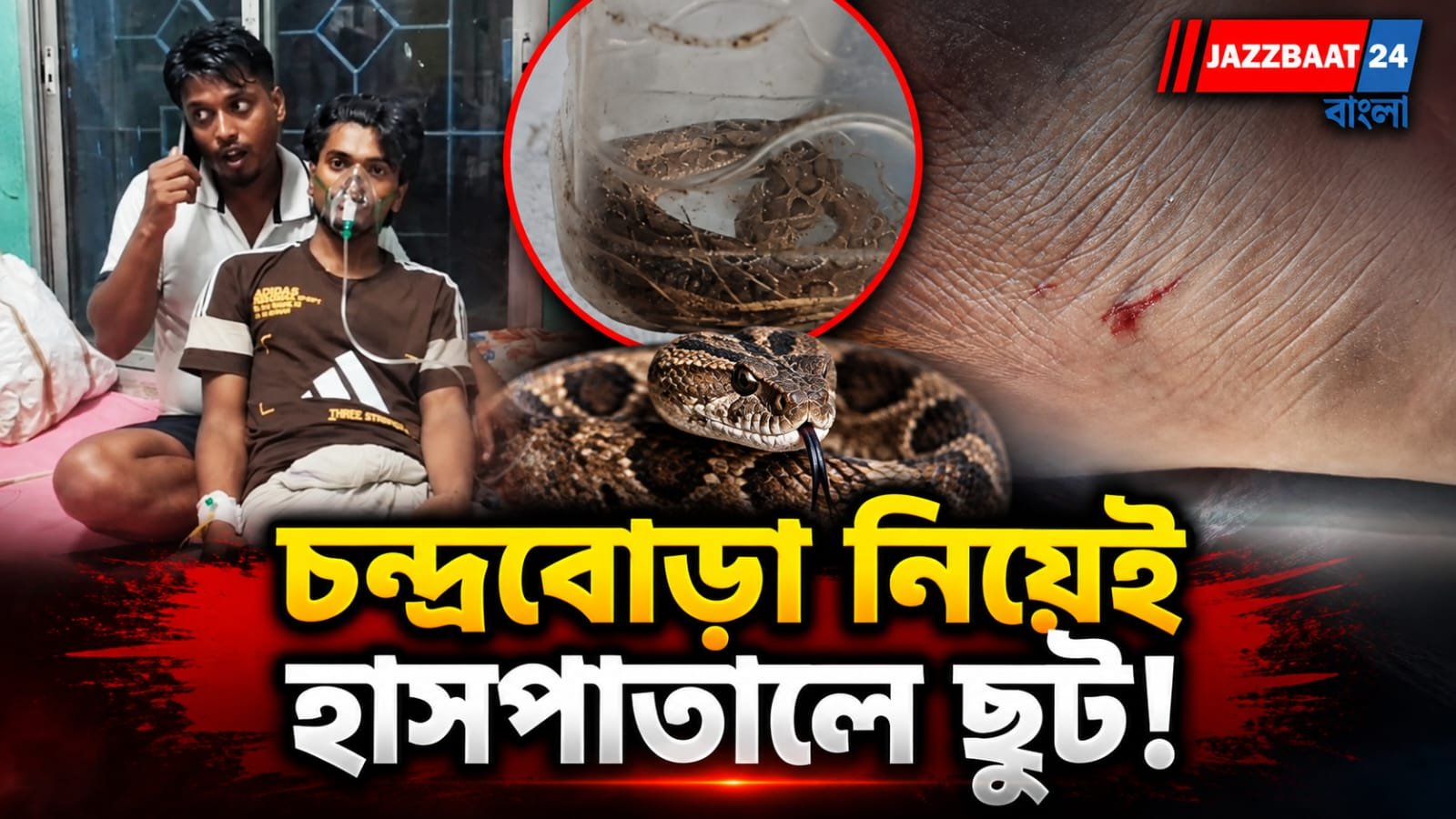 পায়ে সাপের কামড় খেয়েও থামল না যুবক, কৌটো হাতে হাসপাতালে যেতেই...
