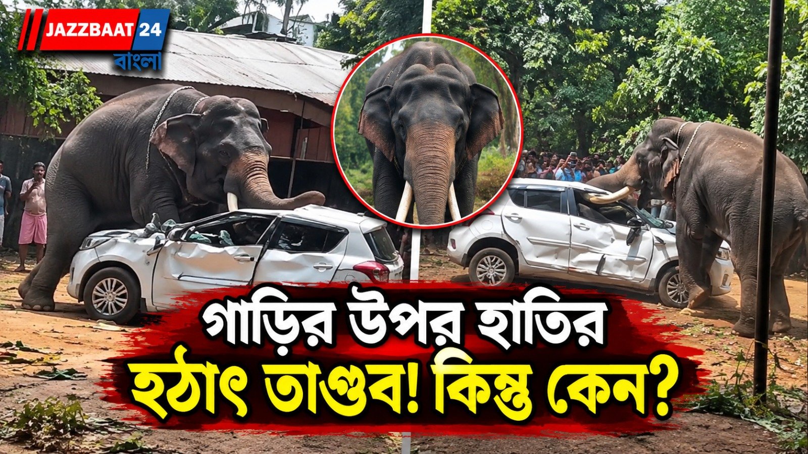 হঠাৎ গাড়ির উপর হামলা হাতির, শুঁড়-দাঁতের আঘাতে লন্ডভন্ড চারচাকা