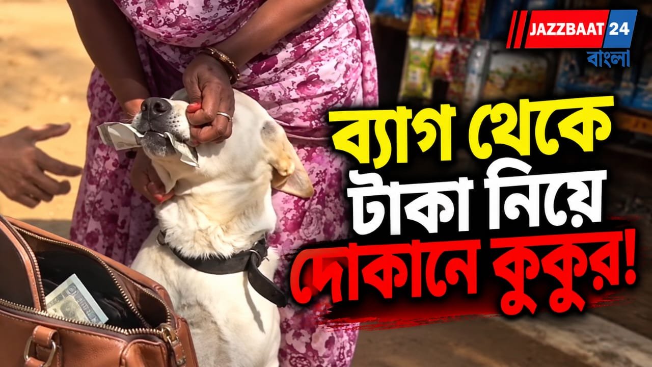 ঠাকুমার টাকা নিয়ে নিজেই কেনাকাটা, মুখে ৫০০ টাকার নোট নিয়ে দোকানে হাজির পোষ্য