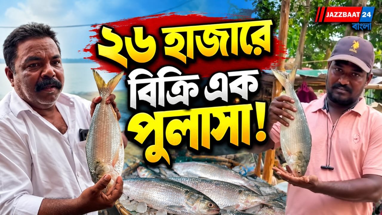 নিলামে উঠতেই তুমুল দর হাঁকাহাঁকি, নিলামে এক পুলাসার দাম উঠল ২৬ হাজার টাকা