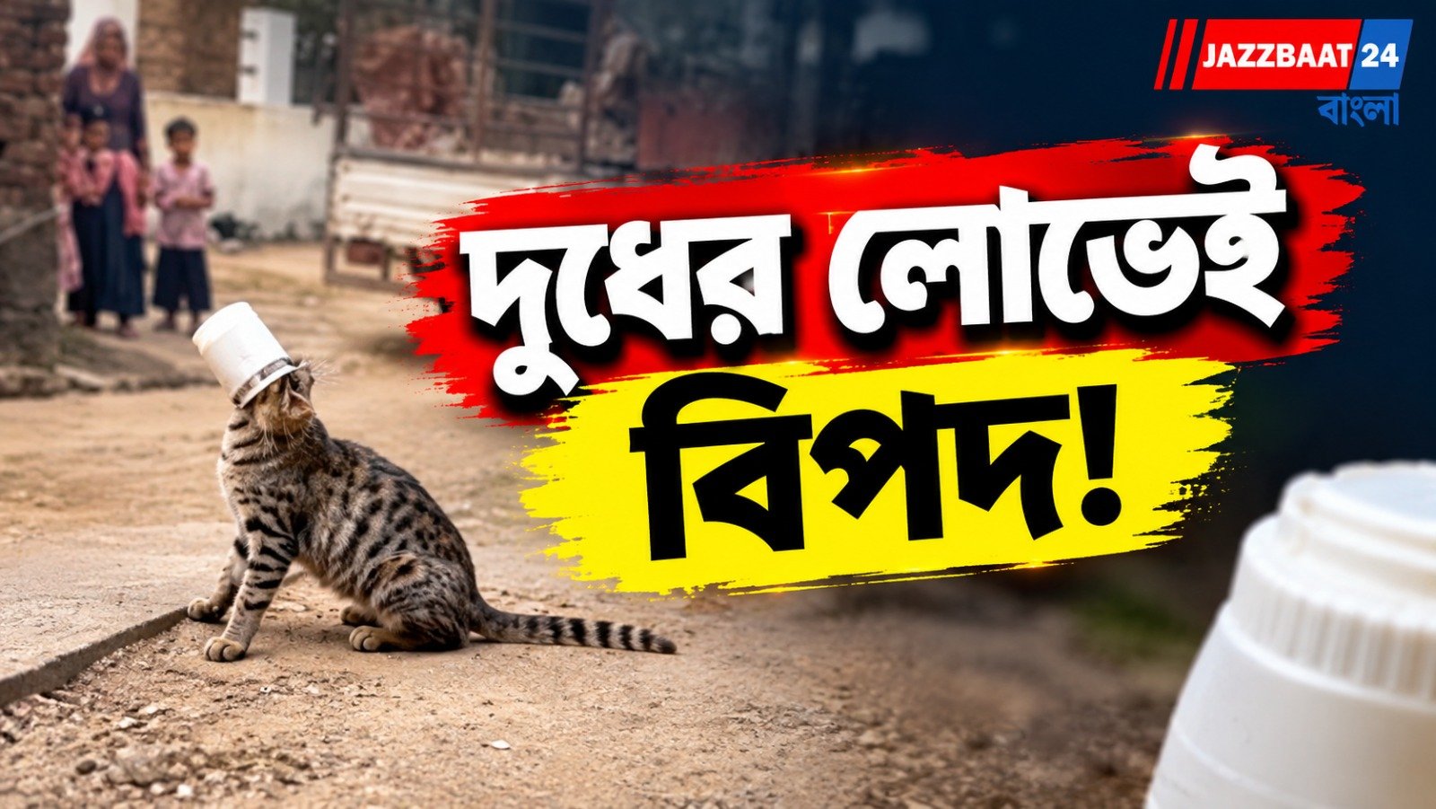 শাস্তির বদলে সহমর্মিতা, অসাবধানী বিড়ালের প্রাণ বাঁচাতে এগিয়ে এলেন মানুষ