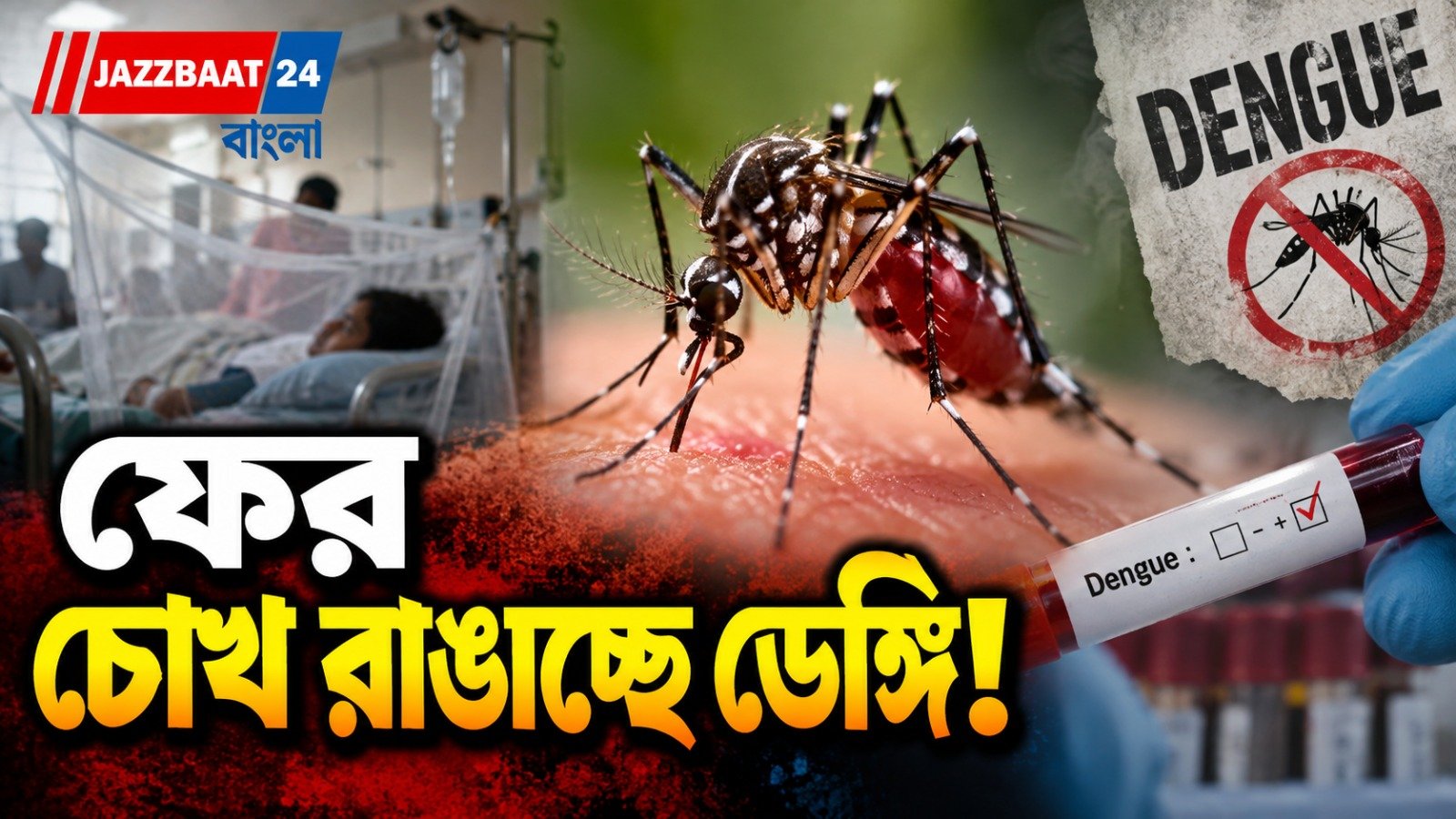 এক মাসে প্রায় দ্বিগুণ ডেঙ্গি! ৫ হাজার পার আক্রান্ত, কলকাতাতেও বাড়ছে উদ্বেগ