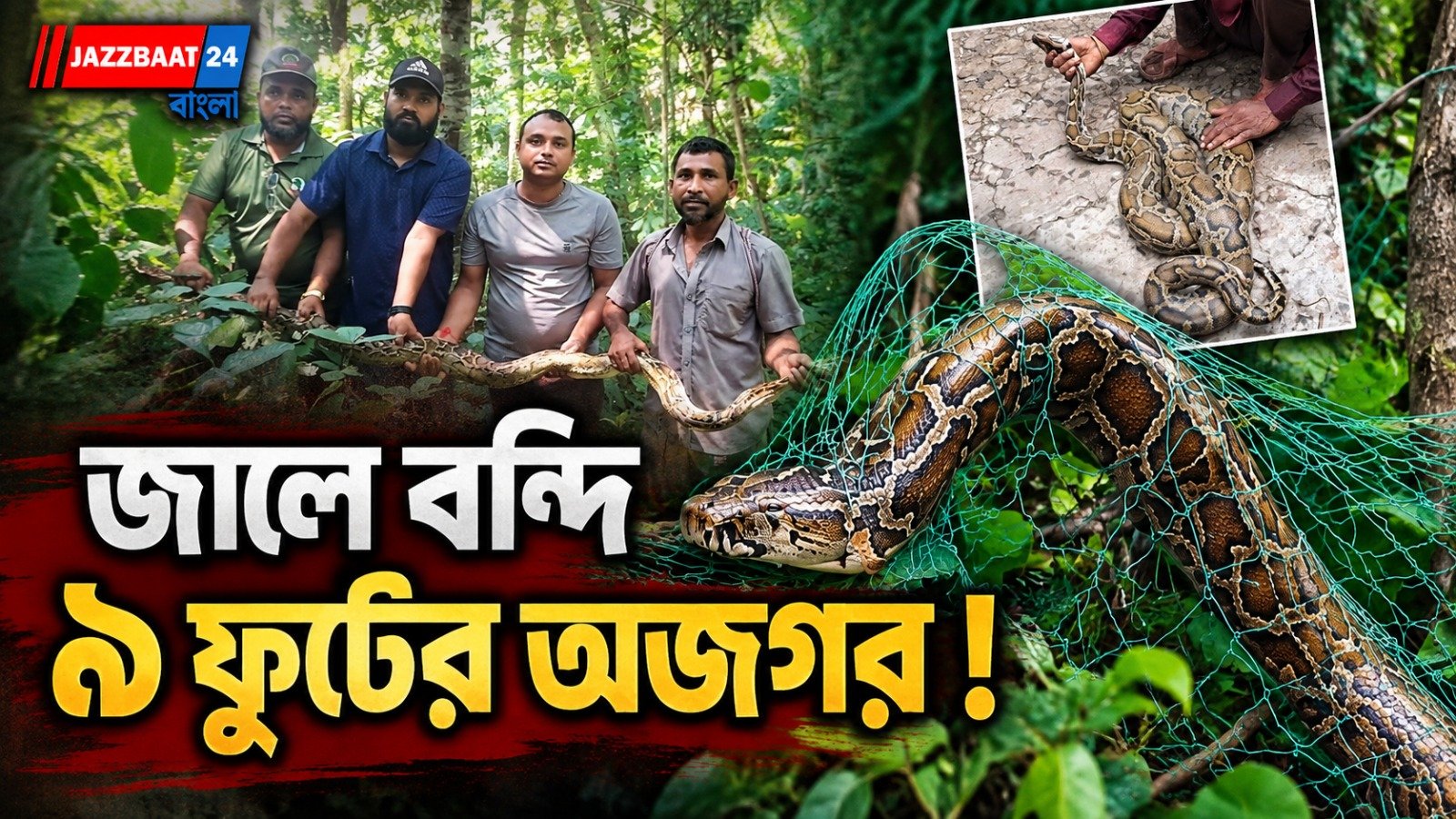 বাংলাদেশে রাঙামাটিতে ৯ ফুটের অজগর উদ্ধার, কাপ্তাইয়ের বনে ফিরল নিরাপদ আশ্রয়ে