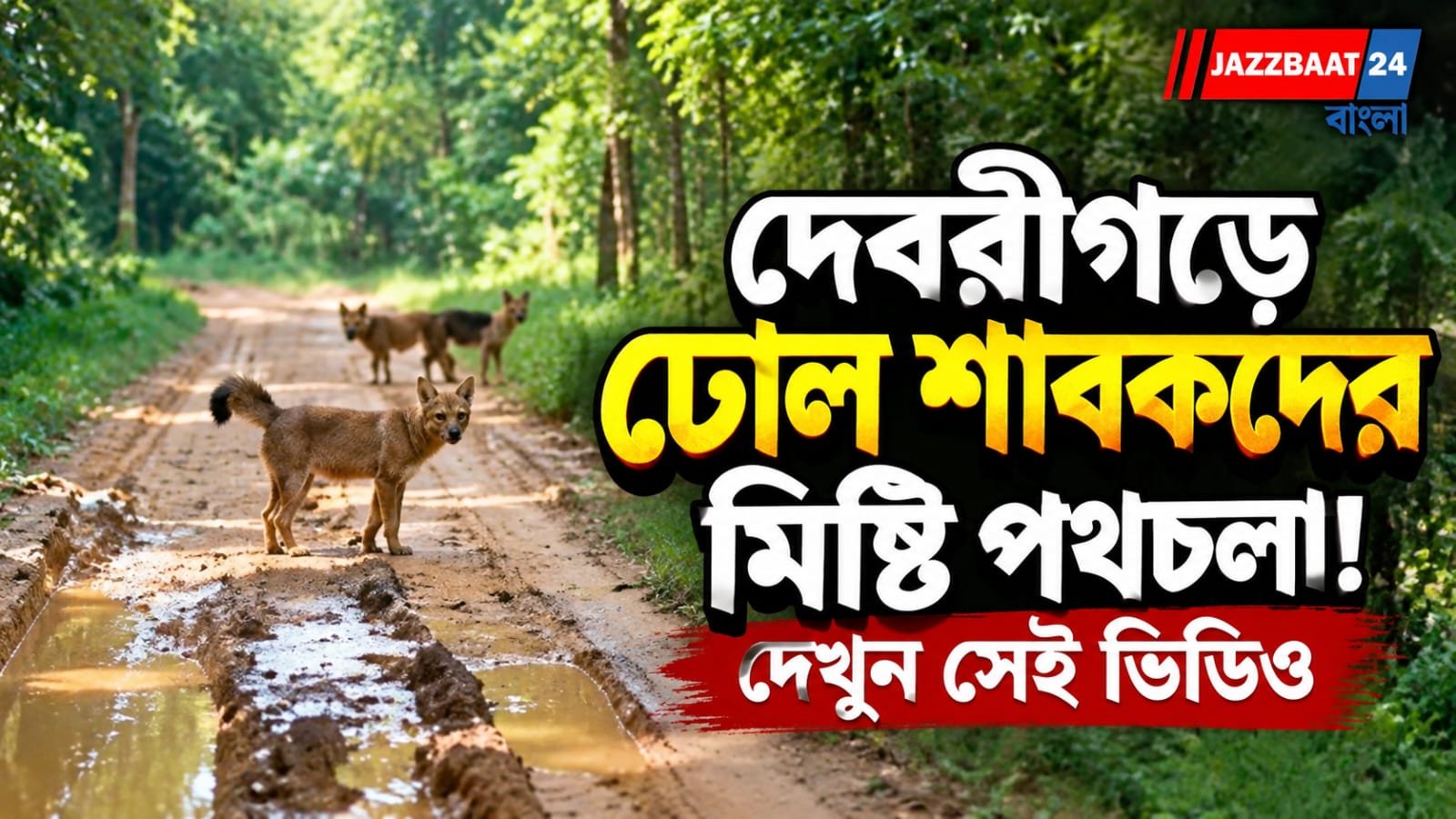 মায়ের পিছু পিছু জঙ্গলের পথে ঢোল শাবকের দল, দেবরীগড়ের ভিডিও ঘিরে বন্যপ্রাণীপ্রেমীদের কৌতূহল