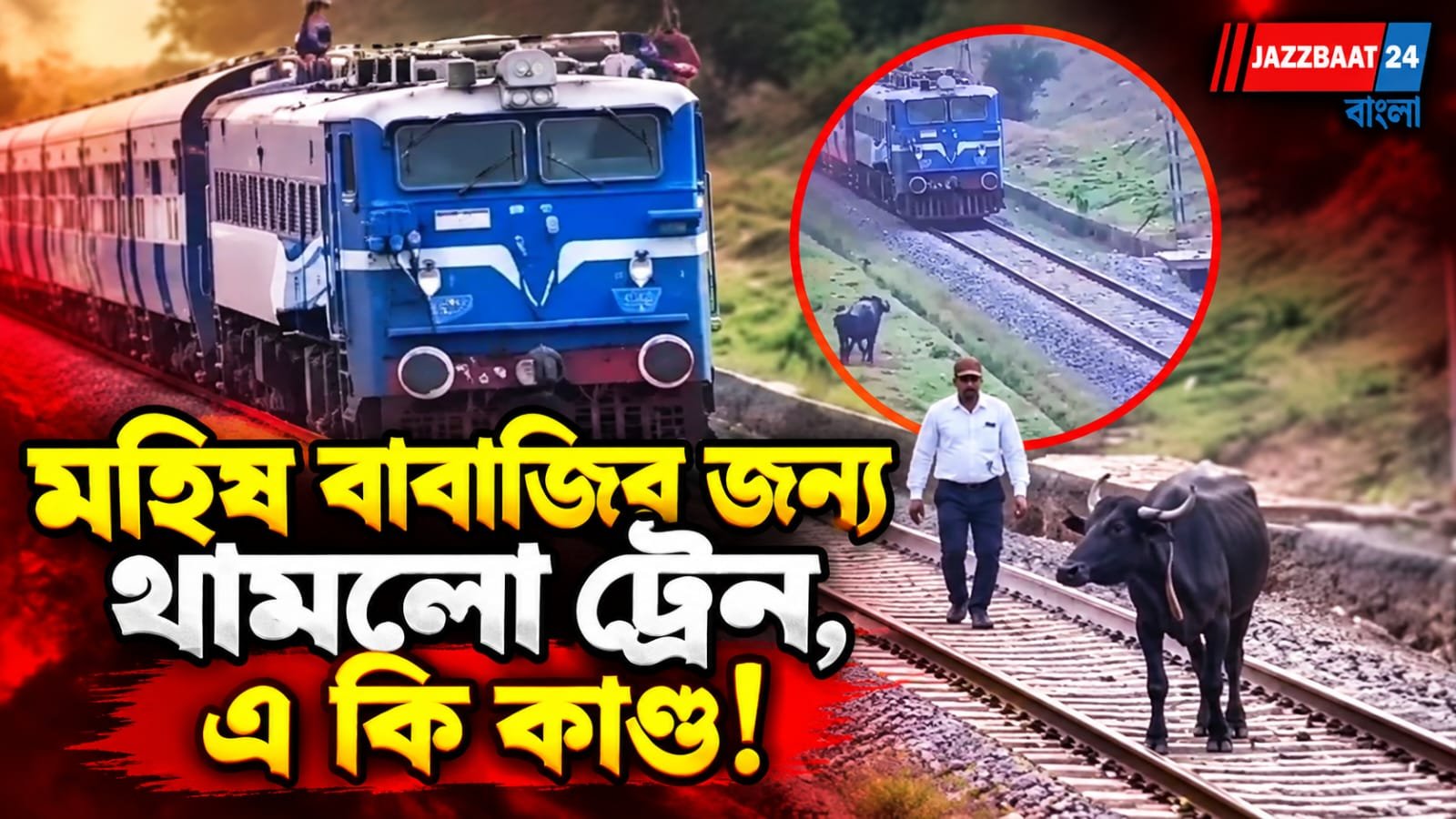 BuffaloRescue: ট্রেনের সামনে দিশেহারা অবলা প্রাণীকে বাঁচাতে ঝাঁপিয়ে পড়লেন রেলকর্মী