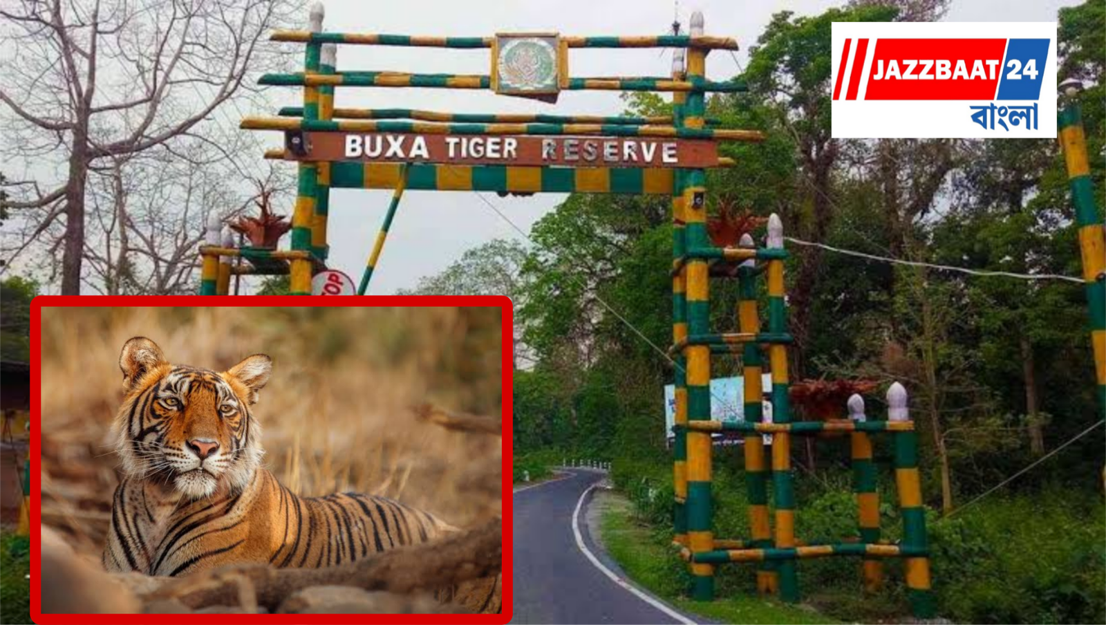 Buxa Jungle Safari: আপাতত বন্ধ থাকছে বক্সা জঙ্গল সাফারি, পর্যটকদের জন্য বড় আপডেট