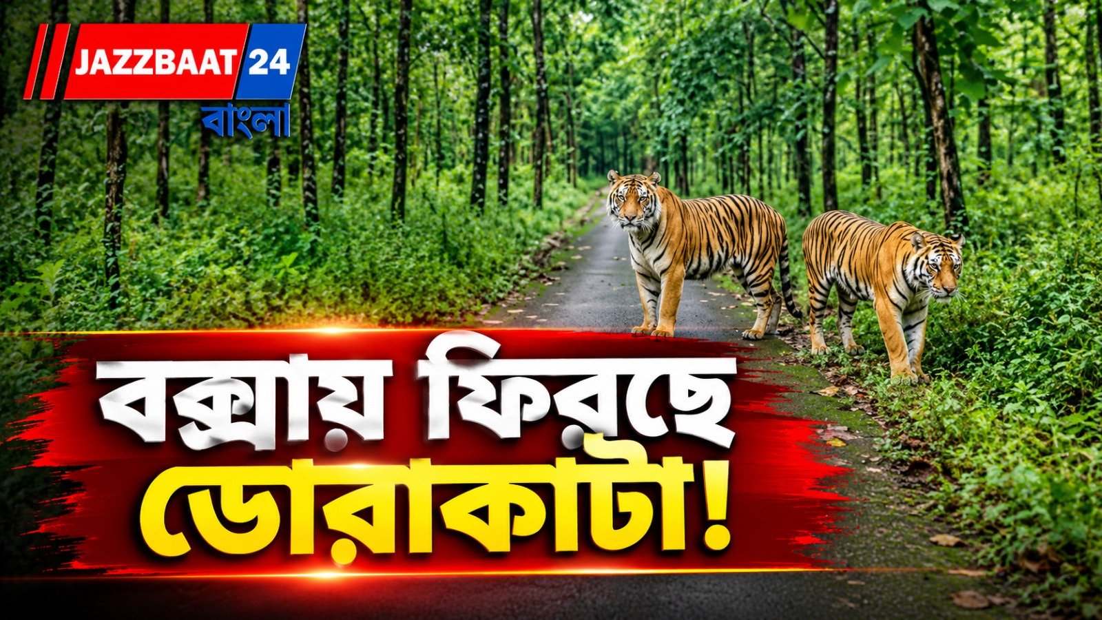 বিহার থেকে আসছে ‘রয়্যাল’ অতিথি! ২ অক্টোবর বক্সার জঙ্গলে বাঘিনী, সাক্ষী থাকবেন মুখ্যমন্ত্রী