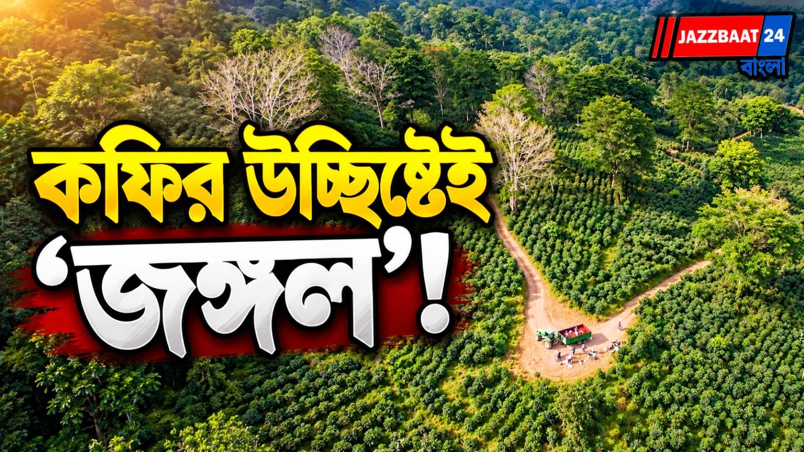 Coffee Pulp: ৩০ ট্রাক বর্জ্য ছড়াতেই দু’বছরে বদলে গেল রুক্ষ জমির চেহারা