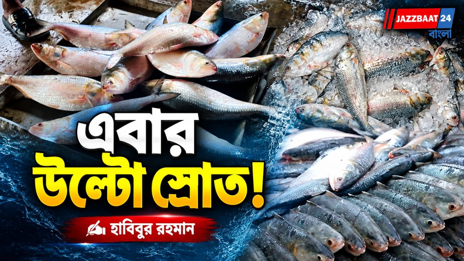 এই প্রথম বাংলাদেশে ইলিশ রপ্তানি করল ভারত, গত দুই মাসে বাংলাদেশে এসেছে ৫০০ টন ইলিশ মাছ