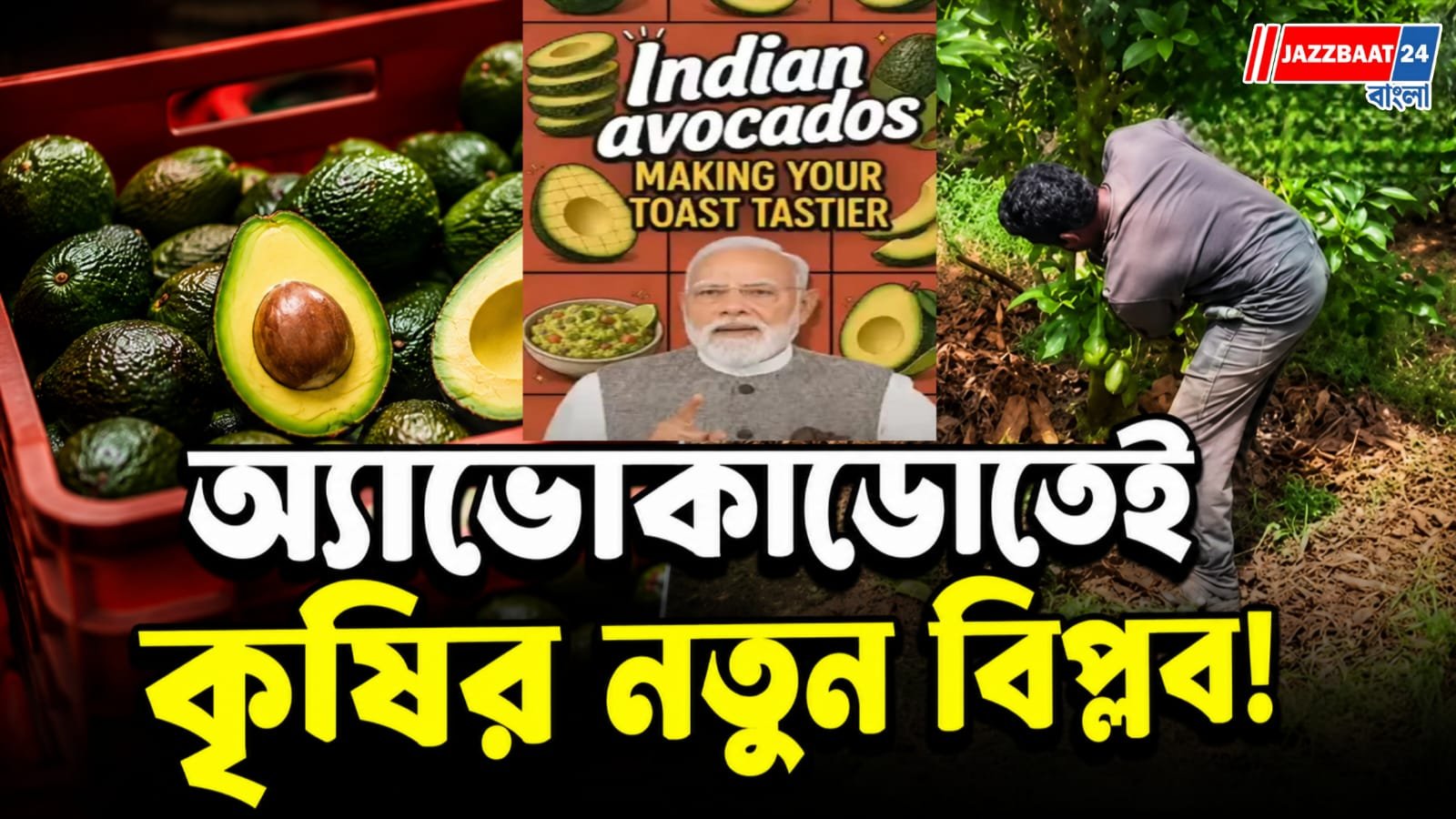 ক্যাফের চাহিদা মেটাতে মাঠে অ্যাভোকাডো!  কী বার্তা দিচ্ছেন প্রধানমন্ত্রী?