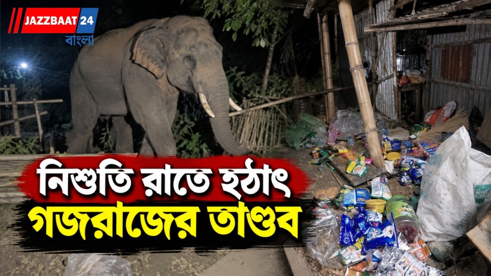 লোকালয়ে ঢুকে দোকান ভাঙল বুনো হাতি, আতঙ্কে স্থানীয়রা