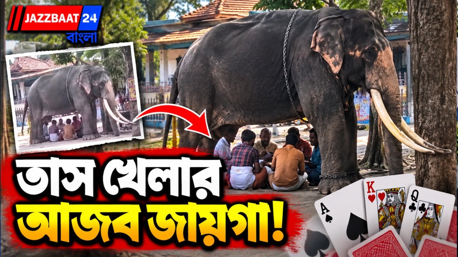 হাতির পেটের নীচে তাস-আড্ডা, মুহূর্তেই ভাইরাল ভিডিয়ো