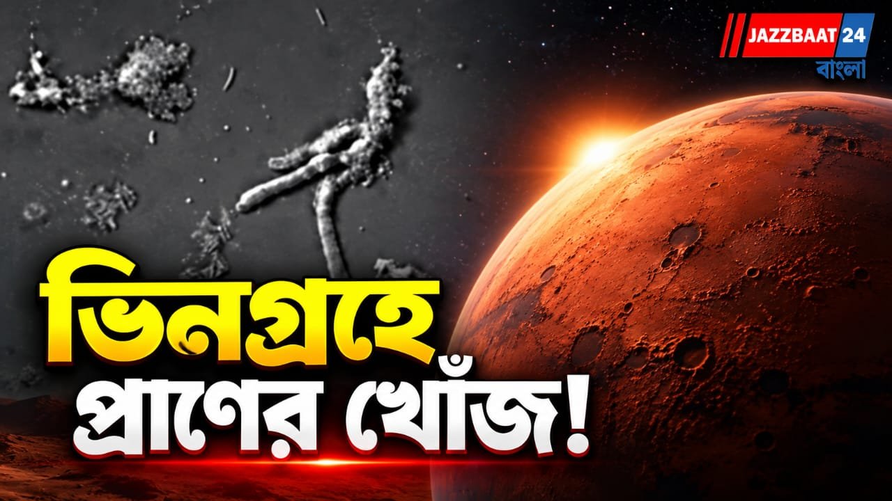 ফুটন্ত জলেও সচল কোষ, নয়া অ্যামিবার সন্ধান, ভিনগ্রহে প্রাণের দিশা বিজ্ঞানীদের