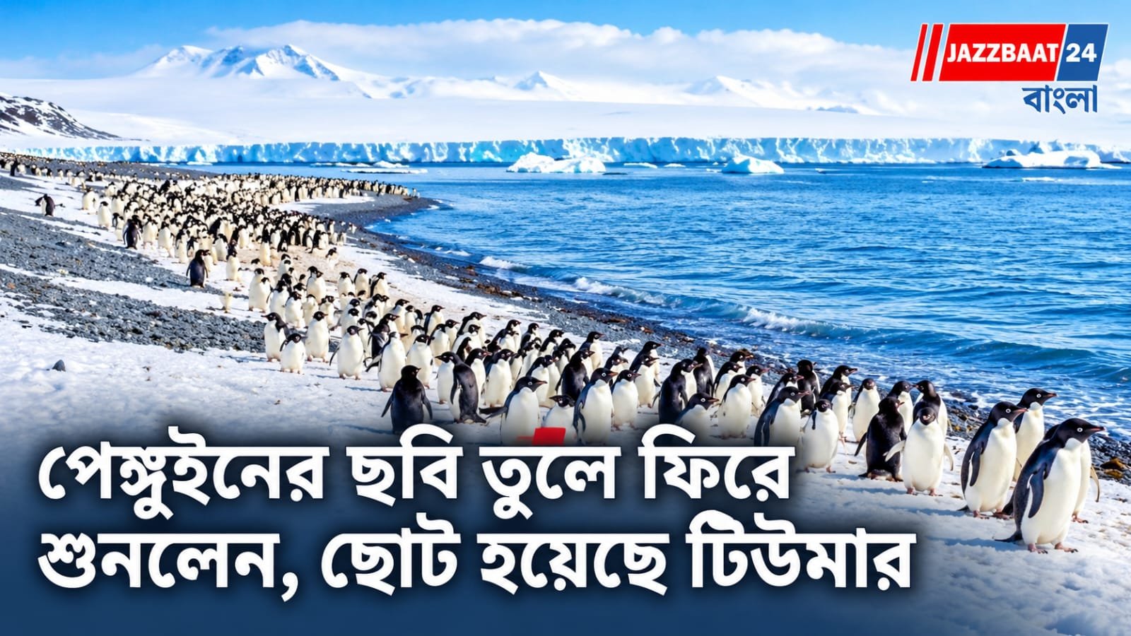 Antarctica Expedition: ক্যানসার ধরা পড়তেই সঞ্চয়ের সব টাকা খরচ করে ছুটলেন অ্যান্টার্কটিকায়!