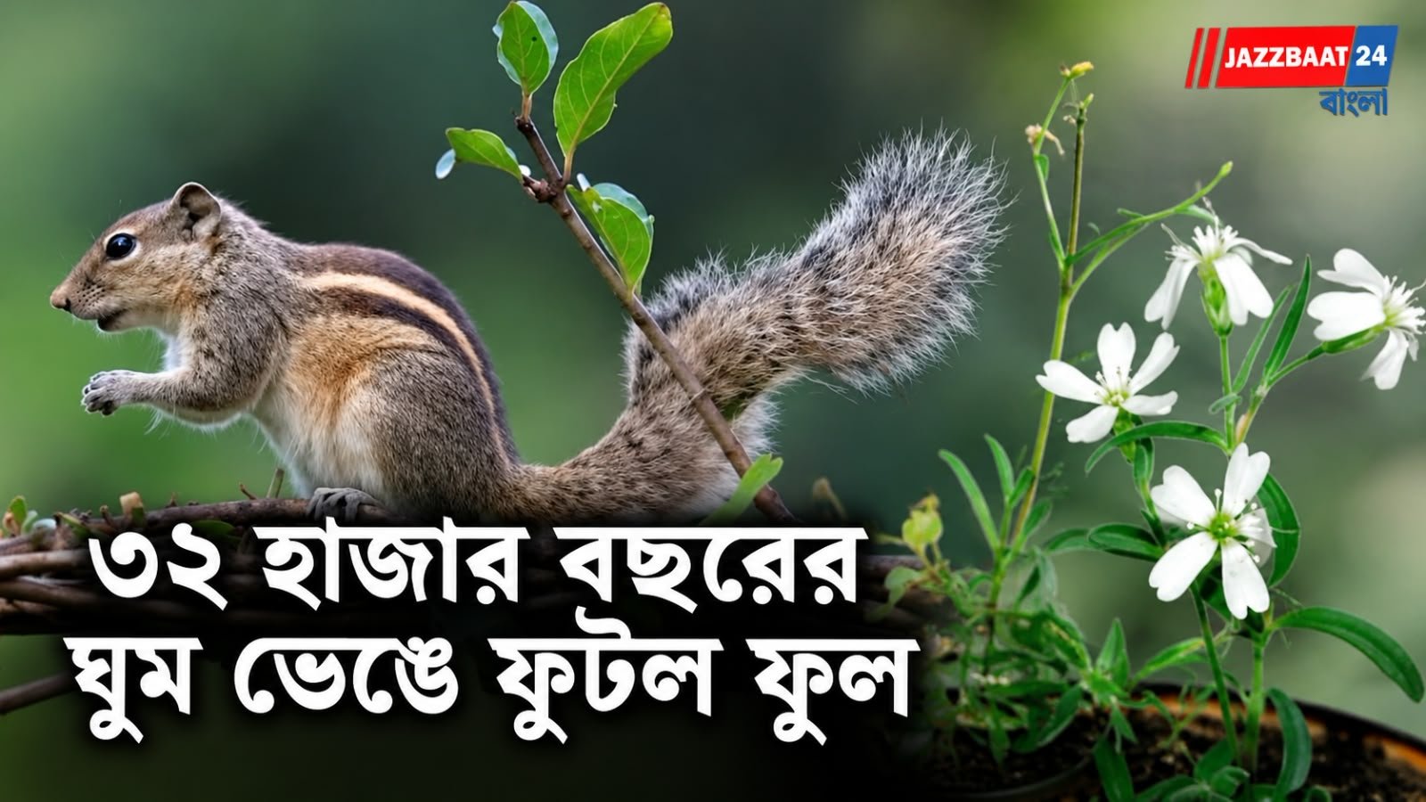 হতবাক বিজ্ঞানীরা, ৩২ হাজার বছর পর আবার বরফের নিচ থেকে প্রাণ ফিরে পেল ফুল!