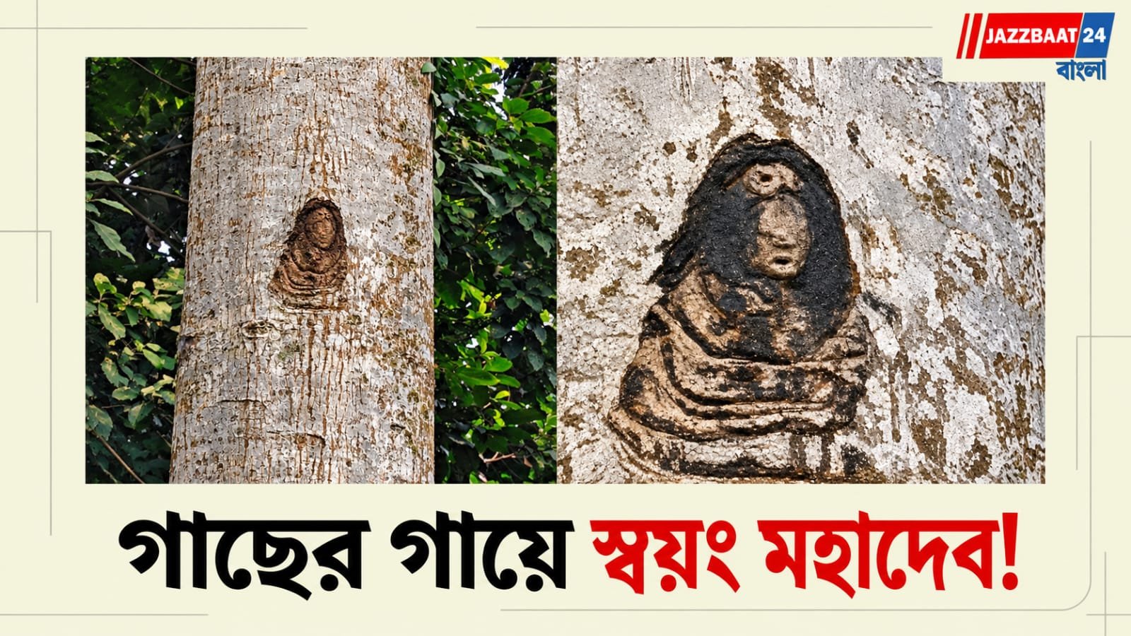 MysteriousTree: গাছের গায়ে ফুটে উঠল মহাদেবের মুখ,  জলপাইগুড়িতে রহস্যময় অবয়ব ঘিরে চাঞ্চল্য