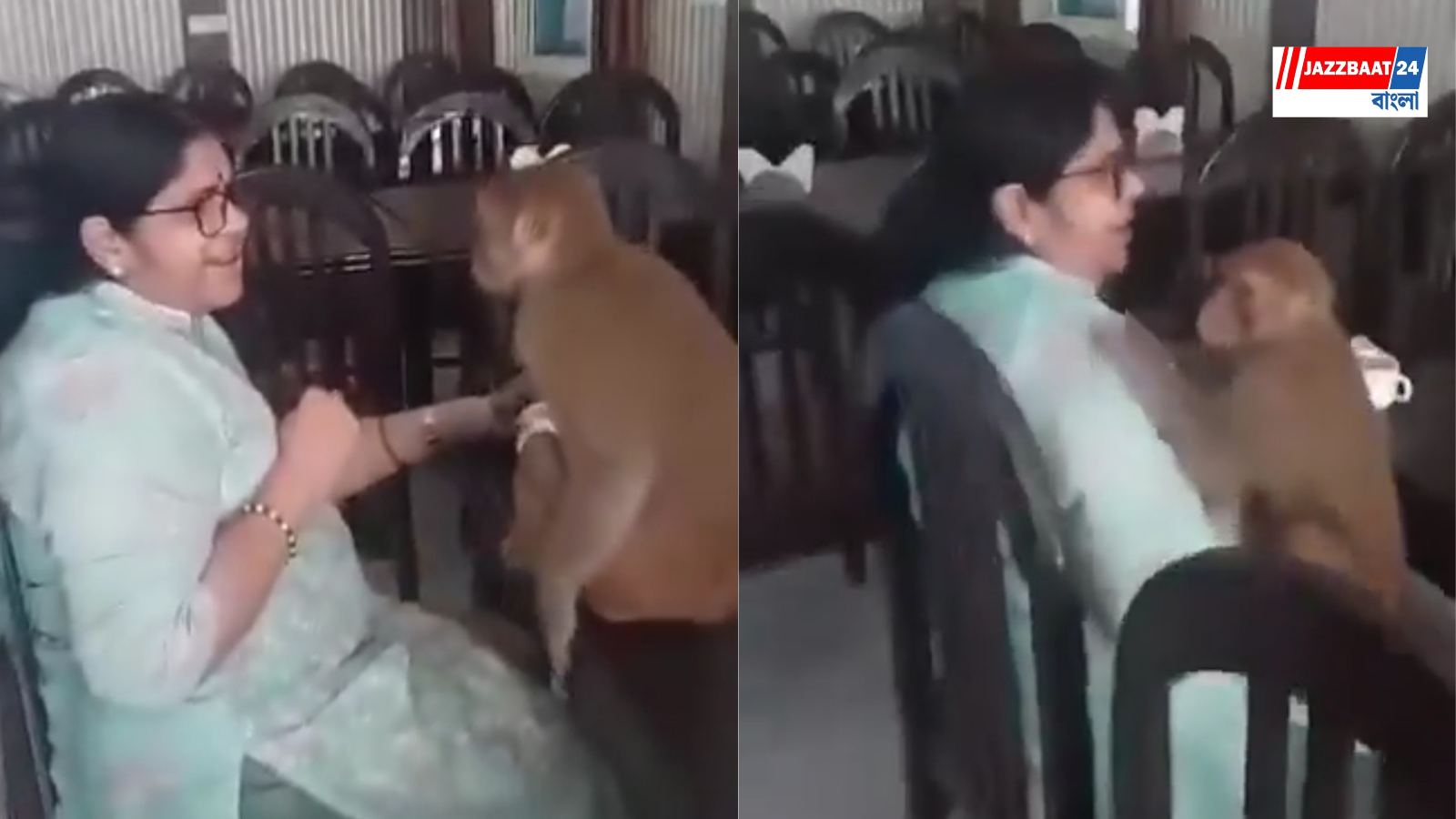 Monkey: রাম নাম শুনেই মহিলার কোলে উঠে আদর! বদ্রীনাথের রেস্তোরাঁয় বাঁদরের কাণ্ডে মুগ্ধ নেটপাড়া