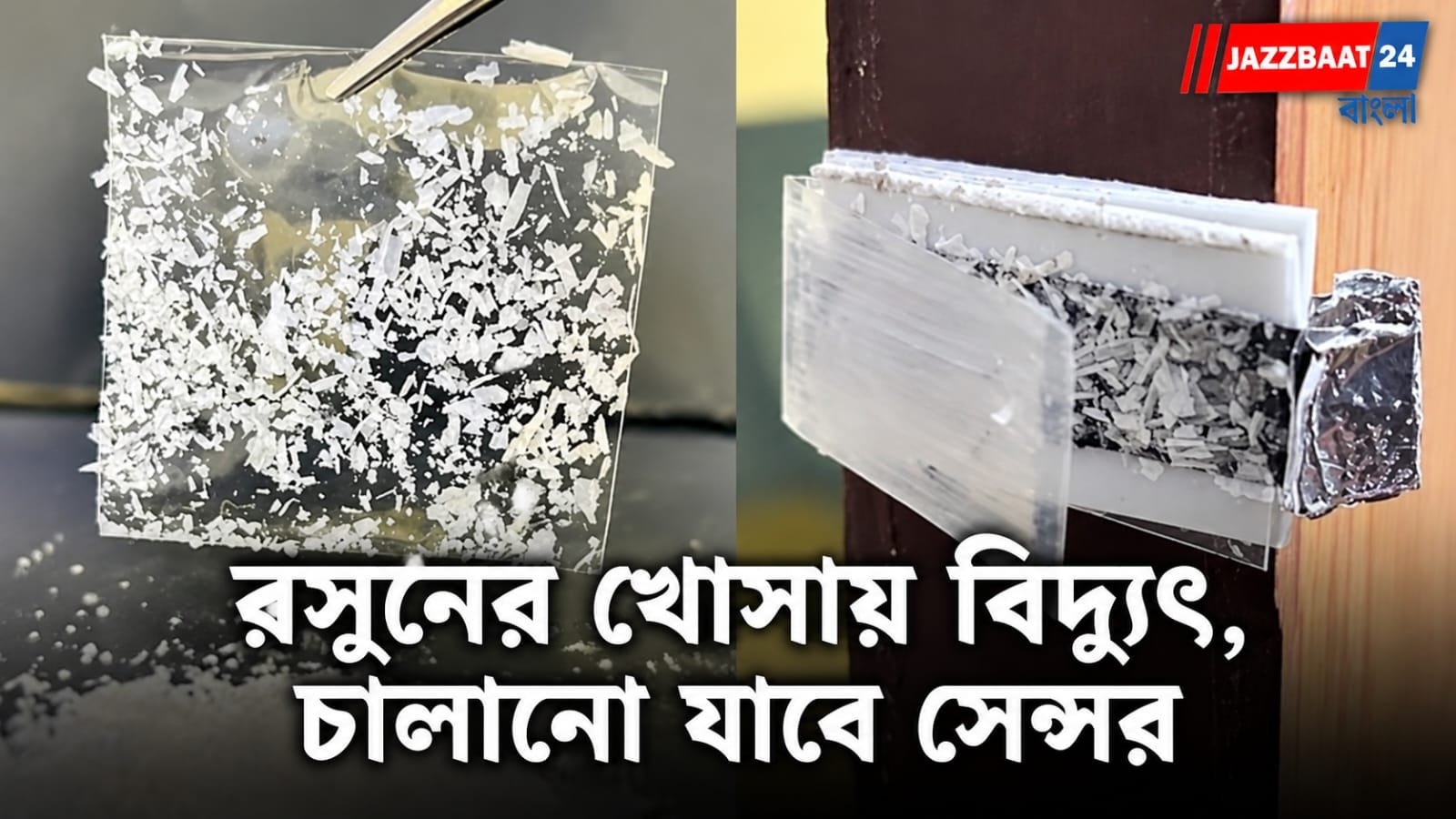 Technology: রসুনের খোসা থেকেই তৈরি হচ্ছে বিদ্যুৎ! গবেষণায় নতুন সম্ভাবনা ভারতীয় বিজ্ঞানীদের