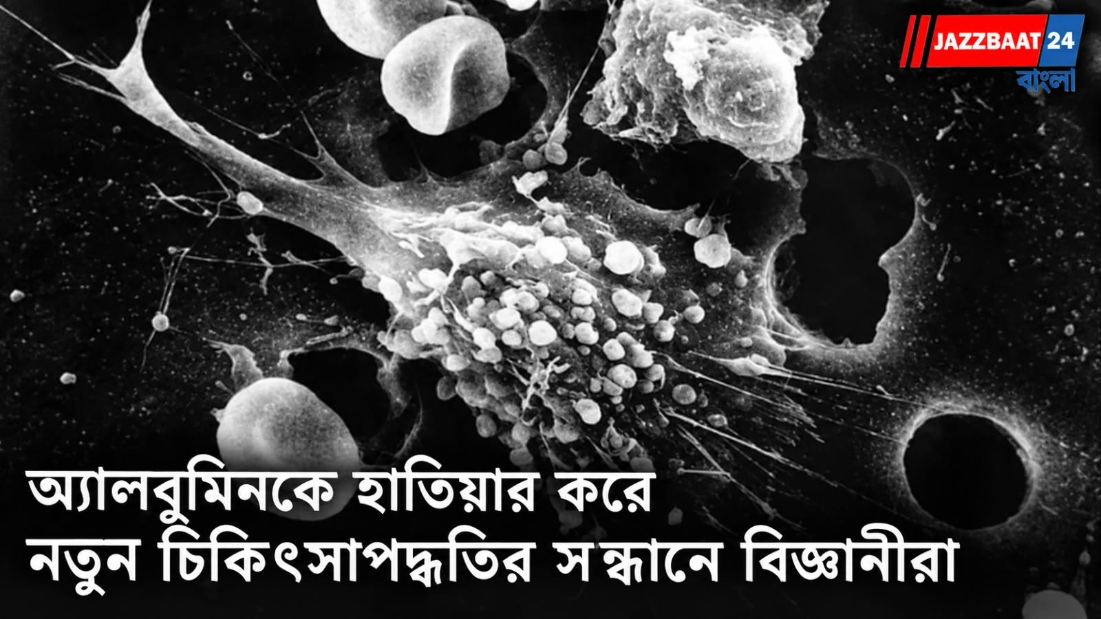 Cancer Research: ক্যানসার কোষের ভিতরেই তৈরি হবে মারণ ওষুধ!