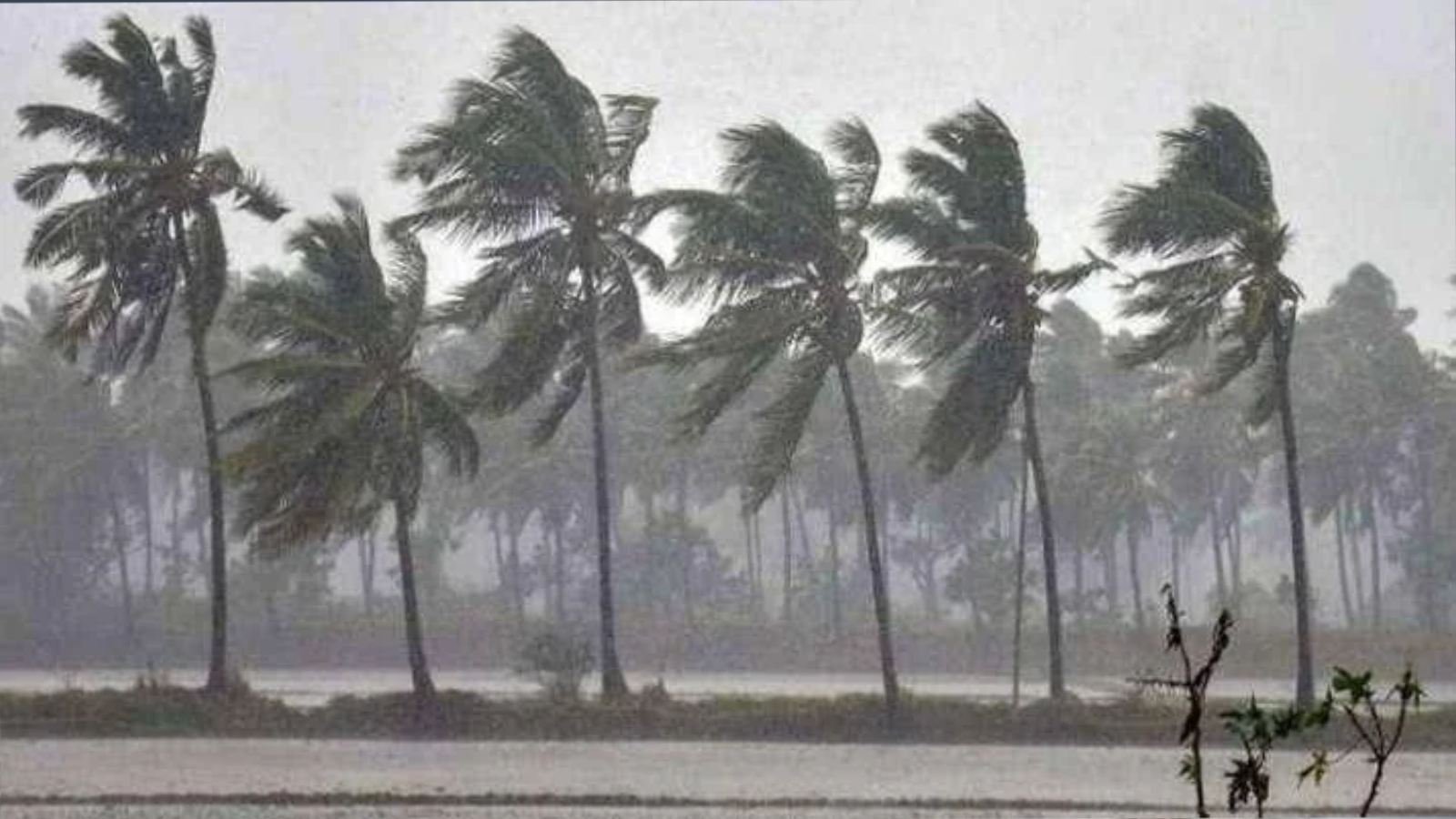 Arnab Cyclone: ঘূর্ণিঝড় 'অর্ণব'- এর ল্যান্ডফল, অন্ধ্র-ওড়িশা উপকূলে শুরু ঝড়-বৃষ্টির তাণ্ডব, বাংলায় কতটা প্রভাব?