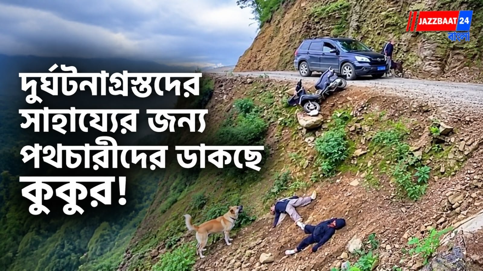 দুর্ঘটনাগ্রস্ত ব্যক্তিদের সাহায্যের জন্য পথচারীদের ডাকছে কুকুর, অবাক করা মানবিকতার ভিডিও ভাইরাল