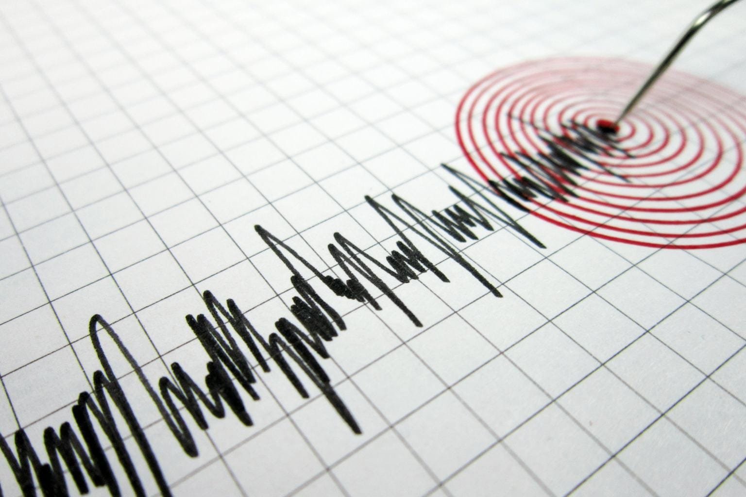 Earthquake:  দিল্লিতে ৫.৯ মাত্রার ভূমিকম্প, তীব্র কম্পনে কাঁপল দিল্লি-এনসিআর-সহ উত্তর ভারত