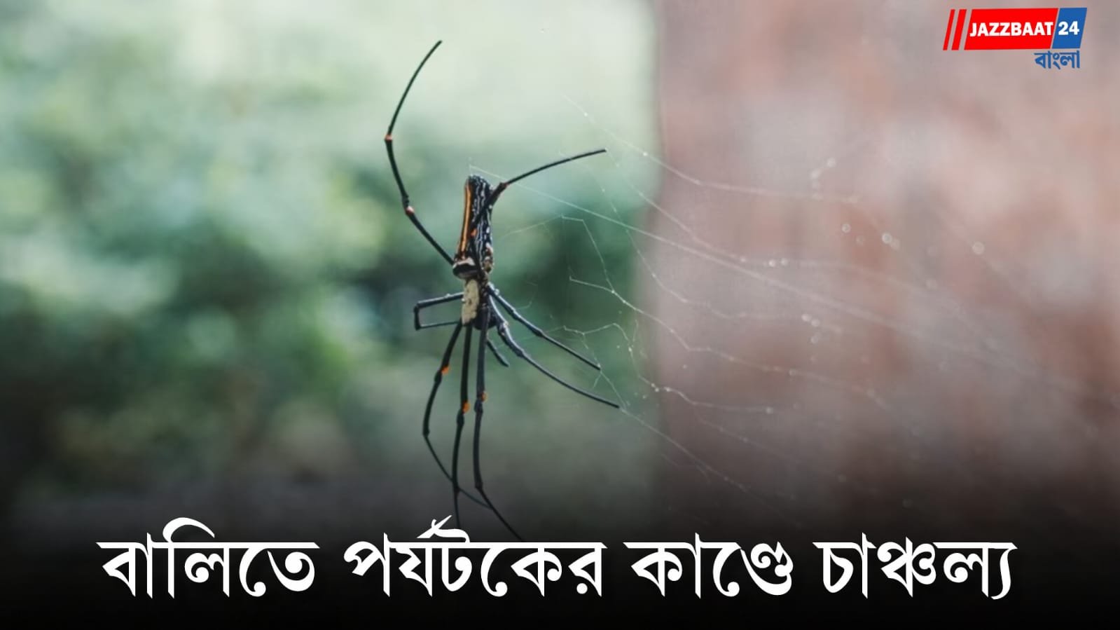 মাকড়সা তাড়াতে জ্বালালেন কাগজ, মুহূর্তে ভস্ম ১ কোটি টাকার ভিলা!