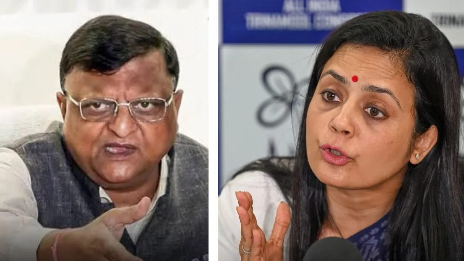 ২৪ ঘণ্টার মধ্যে পোস্ট মুছতে হবে, মনোজকে 'ভোটচোর' মন্তব্যে মহুয়া মৈত্রকে আদালতের নির্দেশ